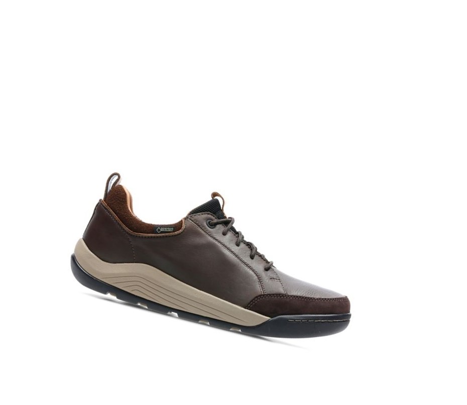 Homme Baskets Décontractées Clarks Ashcombe Bay Gore-tex Cuir Marron Foncé - france AOL-82380593