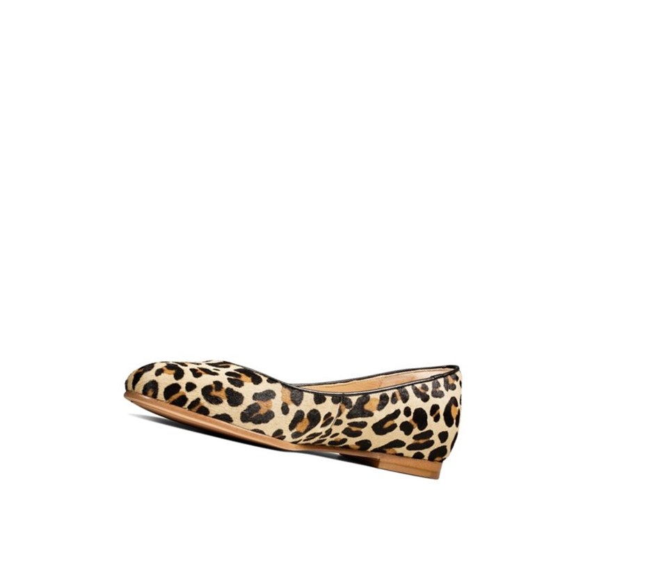 Femme Ballerine Clarks Grace Piper Print Cuir Leopard - france LJP-10474816