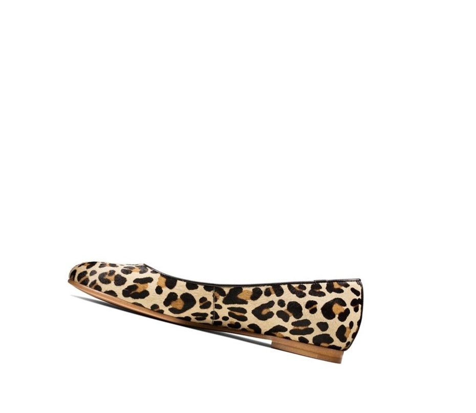 Femme Ballerine Clarks Grace Piper Print Cuir Leopard - france LJP-10474816