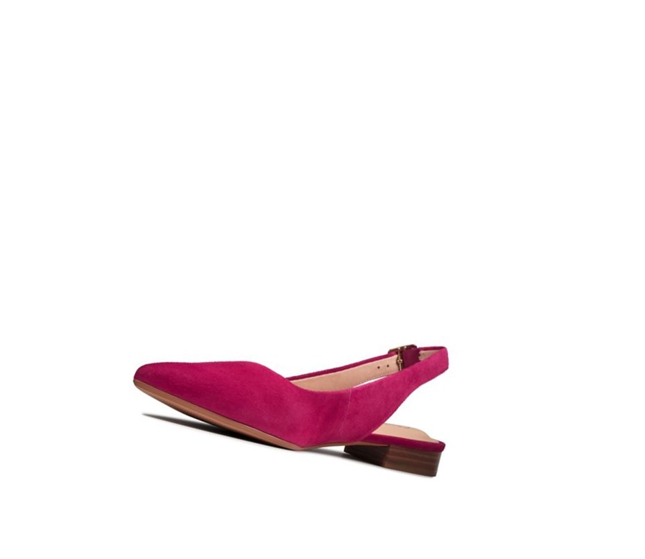 Femme Ballerine Clarks Laina15 Brides Daim Fushia - france JSZ-46241709