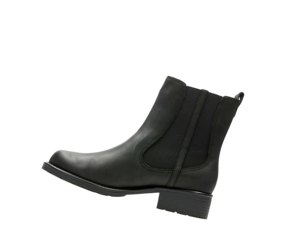 Femme Bottines Chelsea Clarks Orinoco Club Cuir Noir - france EWT-70500357