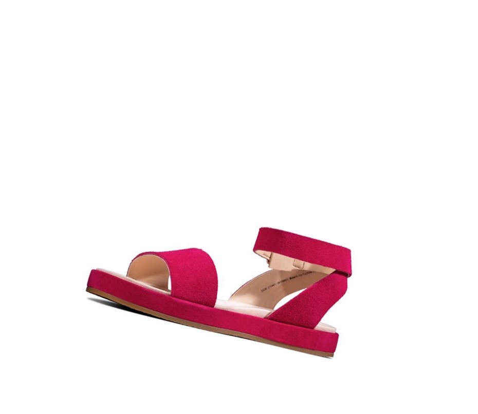 Femme Sandales Plates Clarks Botanic Ivy Daim Fushia - france XDH-38933776