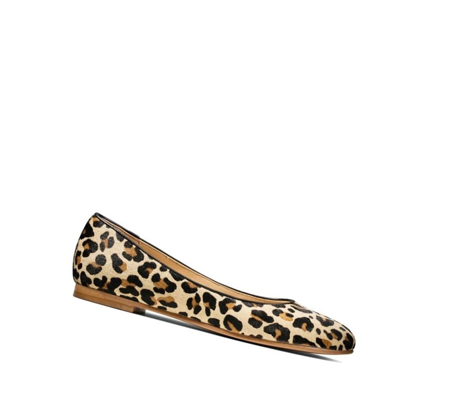 Femme Chaussures Cuir Clarks Grace Piper Print Cuir Leopard - france UZD-74270477